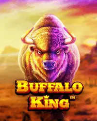 Slot Buffalo King - Pragmatic Play